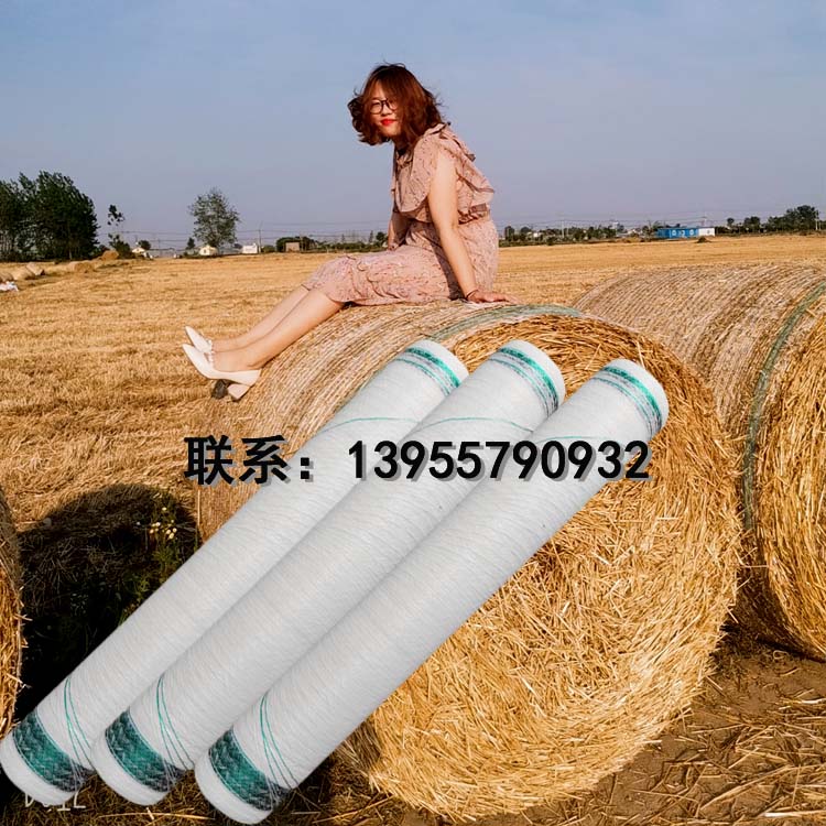 ϩýո