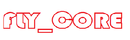 FC-H021LNL-ǧ״