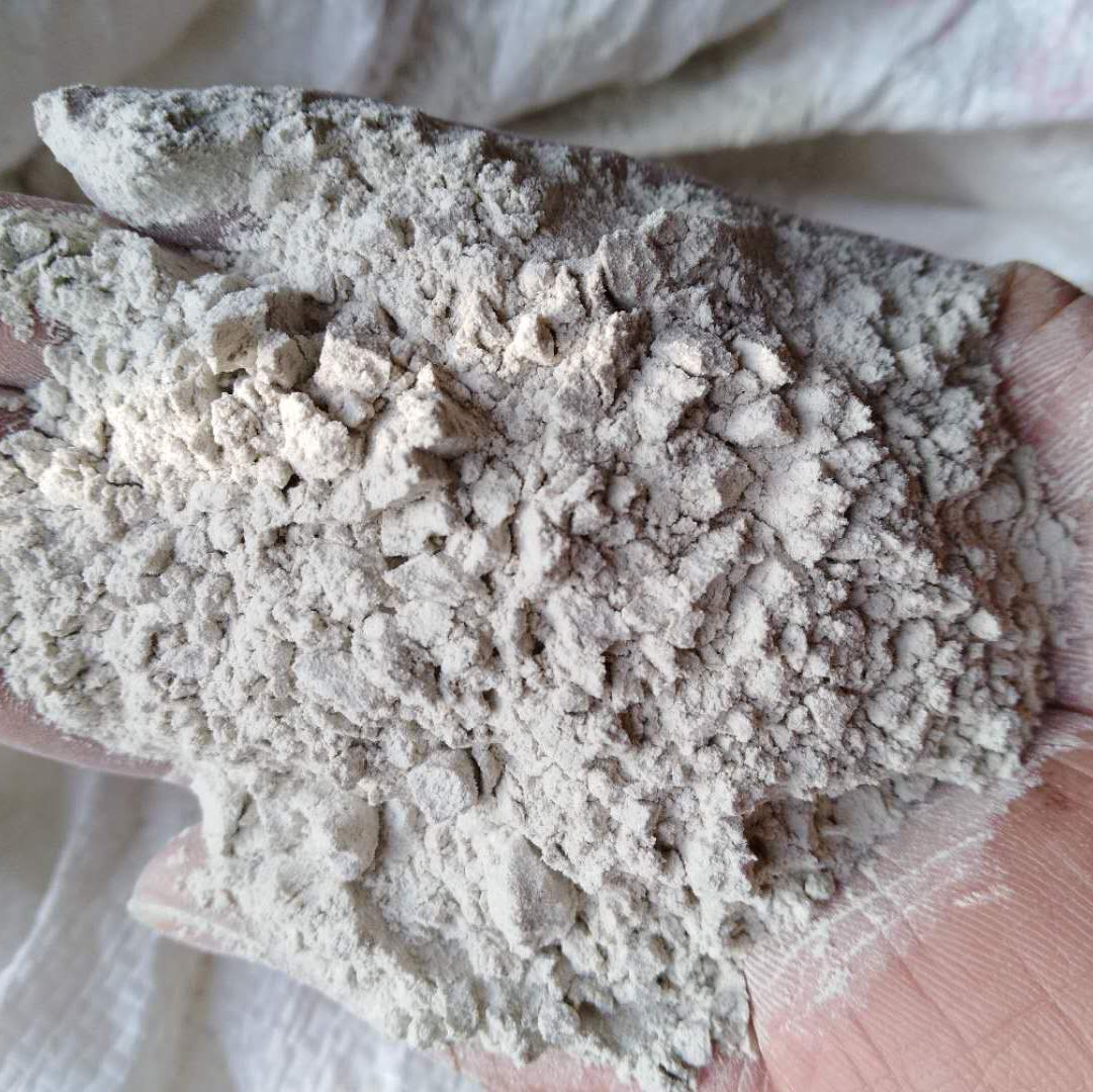 100Ŀϼʯ