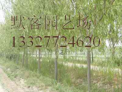 ۸飬˿۸