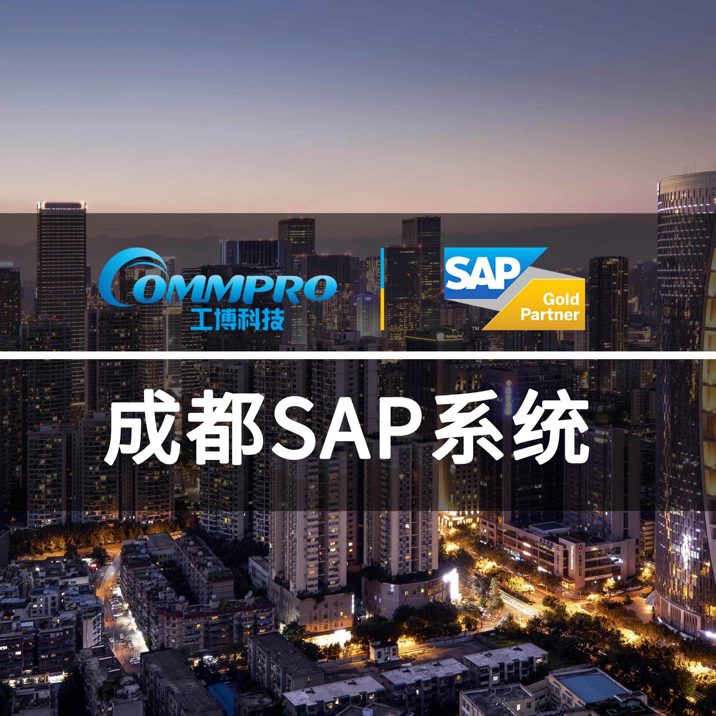 ɶSAPϵͳ SAPʵʩ SAP ERP Ƽ