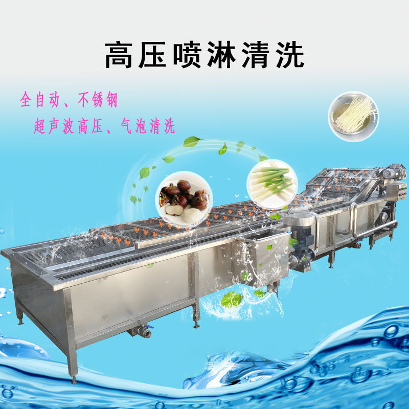 厂家直销果蔬中药材清洗流水线 杨桃沙果臭氧气泡清洗机